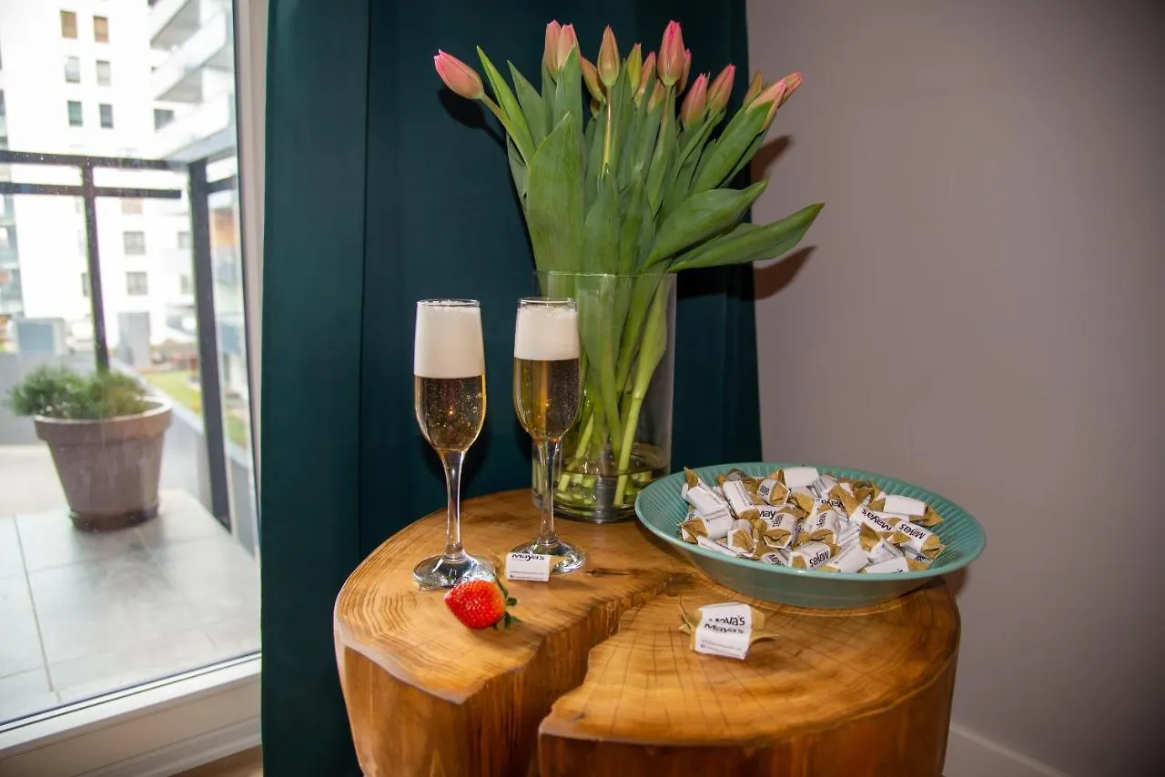 Maya'S Flats & Resorts 62 - 3 Rooms Apartment Bastion Walowa Gdansk 0*,  Poland